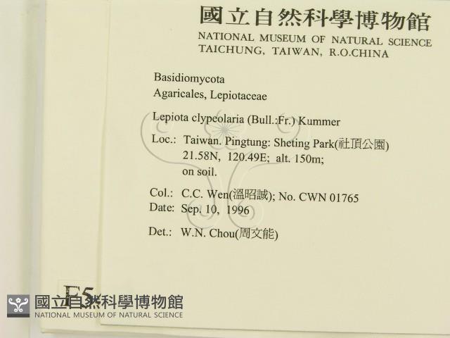 登錄號:F0005410藏品圖，第2張