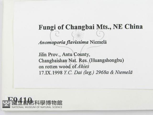 登錄號:F0009410藏品圖，第2張