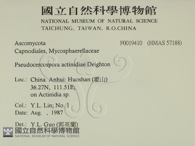 登錄號:F0019410藏品圖，第2張