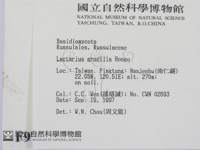 登錄號:F0009710藏品圖，第2張