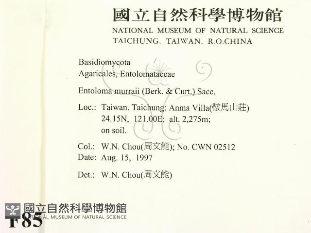 登錄號:F0008510藏品圖，第2張