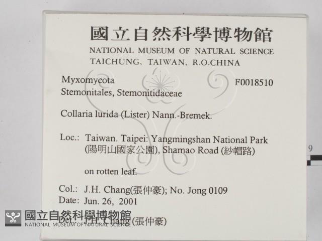 登錄號:F0018510藏品圖，第2張