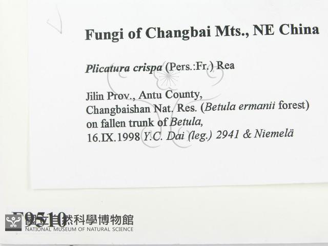 登錄號:F0009510藏品圖，第2張