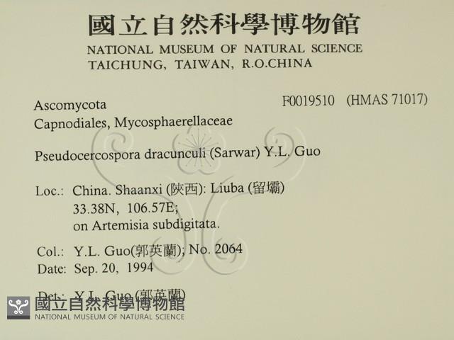 登錄號:F0019510藏品圖，第2張