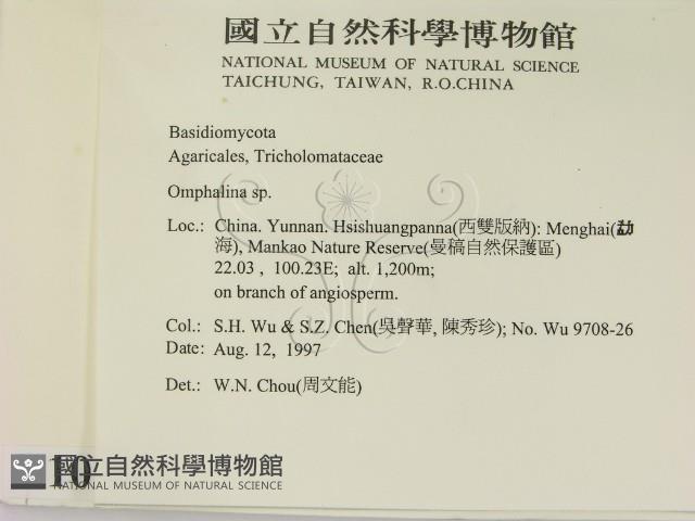 登錄號:F0010110藏品圖，第2張