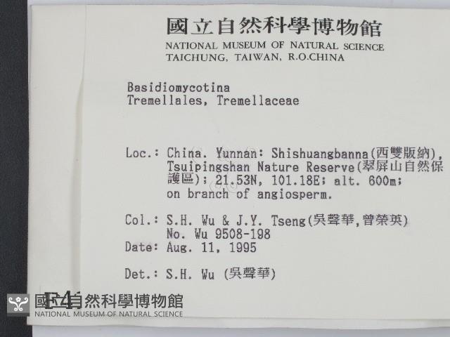 登錄號:F0004110藏品圖，第2張
