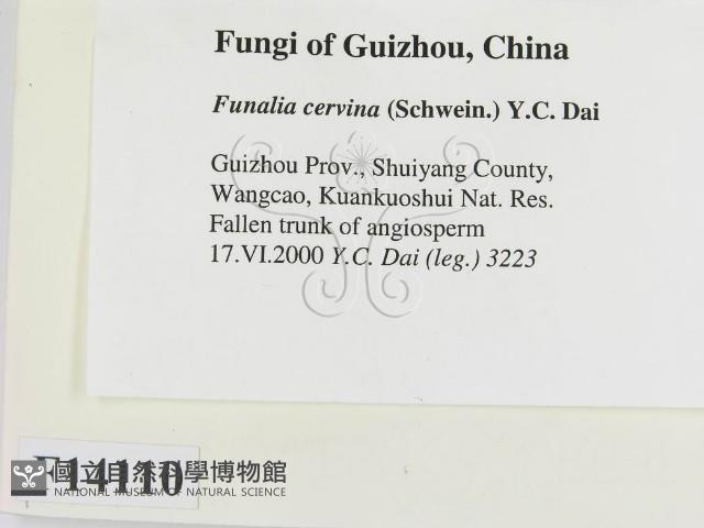 登錄號:F0014110藏品圖，第2張