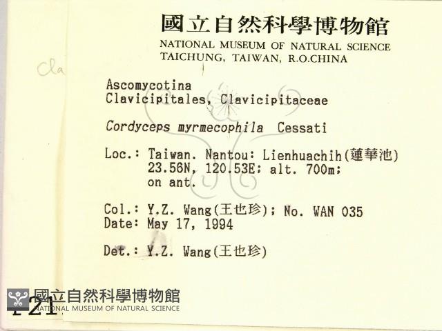 登錄號:F0002110藏品圖，第2張