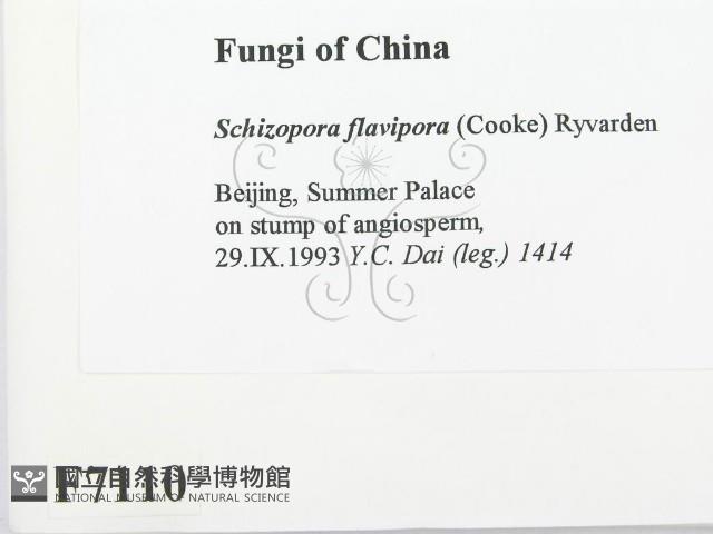 登錄號:F0007110藏品圖，第2張