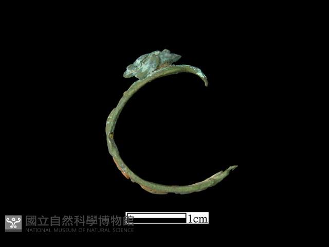 耳環藏品圖，第1張