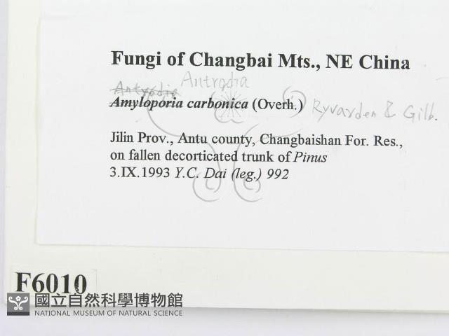 登錄號:F0006010藏品圖，第2張