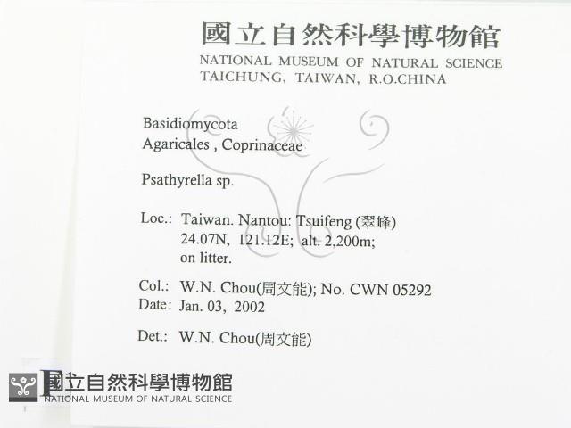 登錄號:F0016010藏品圖，第2張