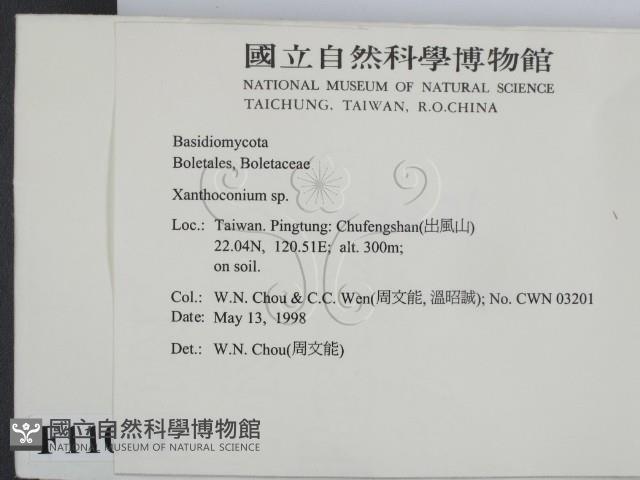 登錄號:F0011010藏品圖，第2張