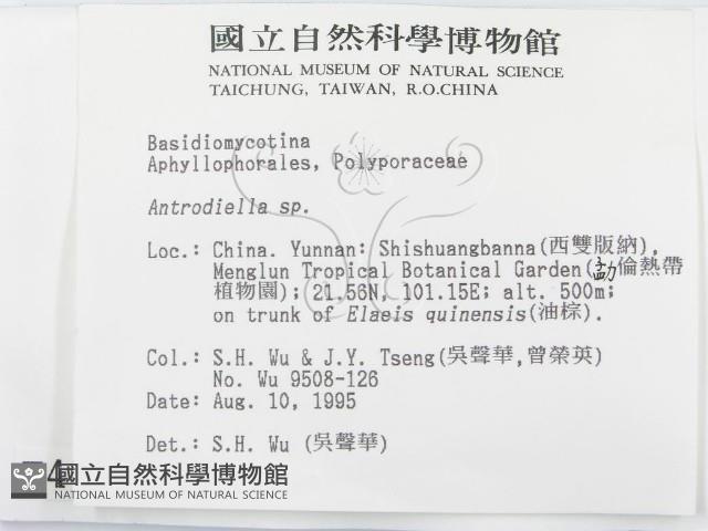 登錄號:F0004010藏品圖，第2張