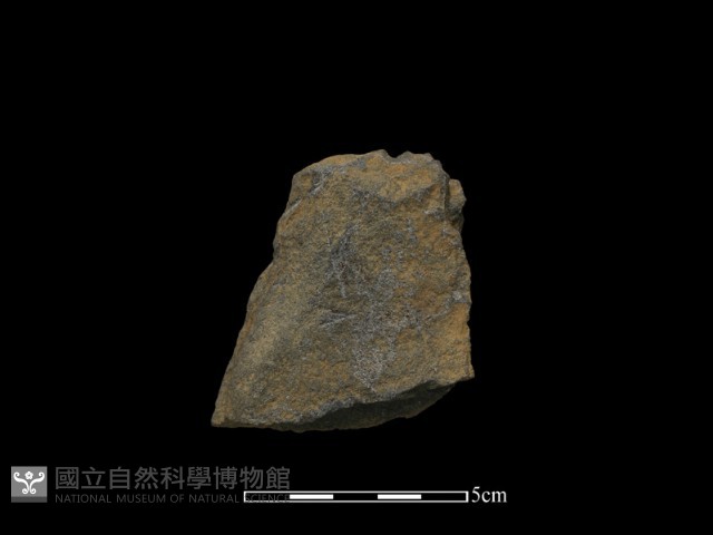 斧鋤形器藏品圖，第1張
