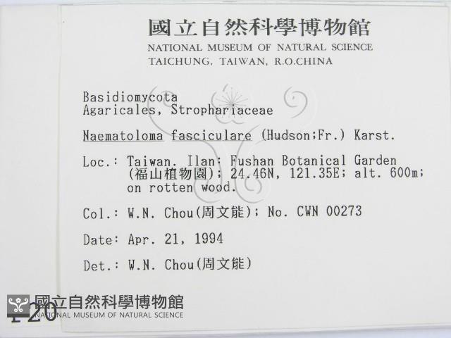 登錄號:F0002010藏品圖，第2張