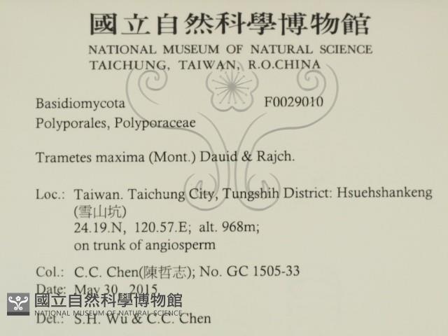 登錄號:F0029010藏品圖，第2張