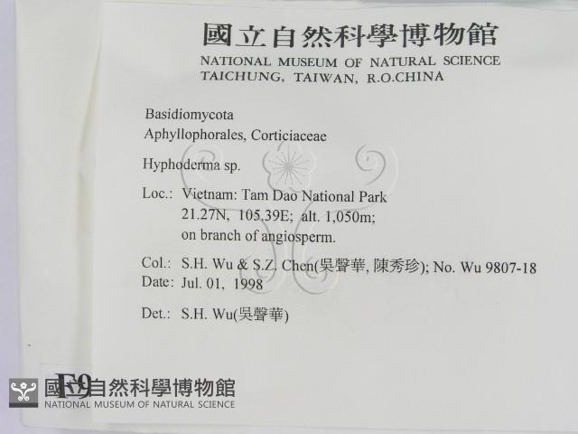 絲皮菌屬藏品圖，第2張