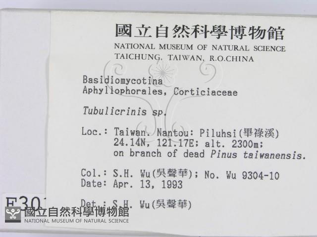 登錄號:F0003010藏品圖，第2張