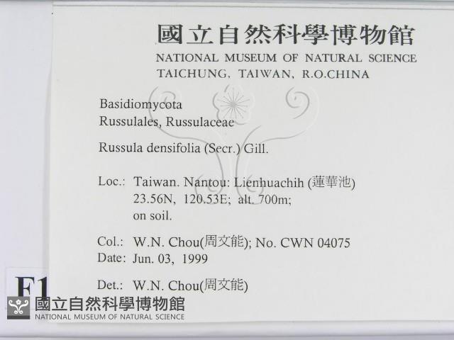 登錄號:F0013010藏品圖，第2張