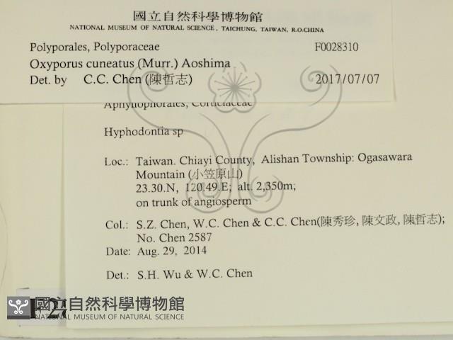 登錄號:F0028310藏品圖，第2張