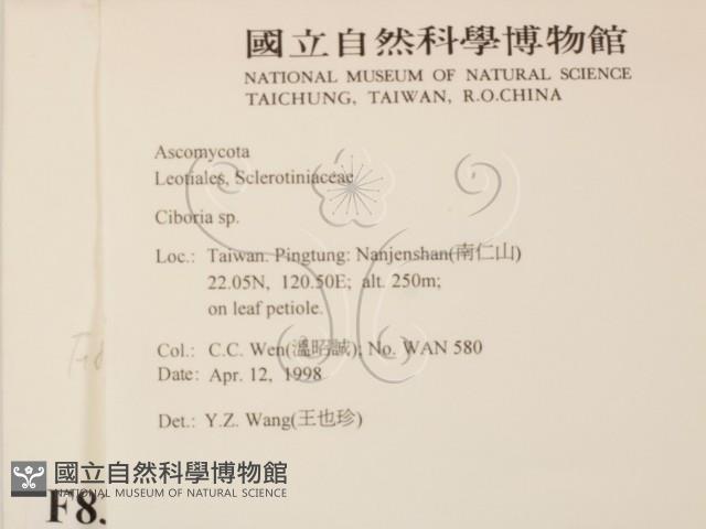 登錄號:F0008310藏品圖，第2張