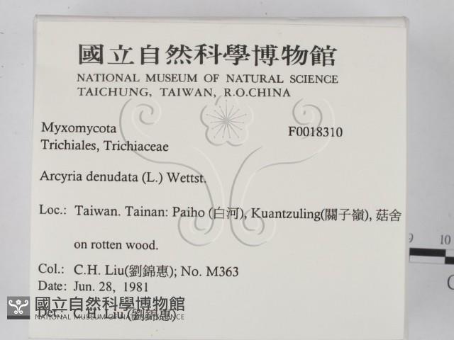 登錄號:F0018310藏品圖，第2張