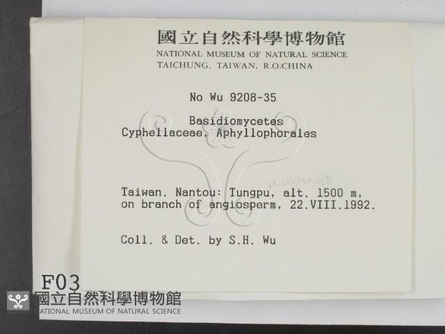 登錄號:F0000310藏品圖，第2張