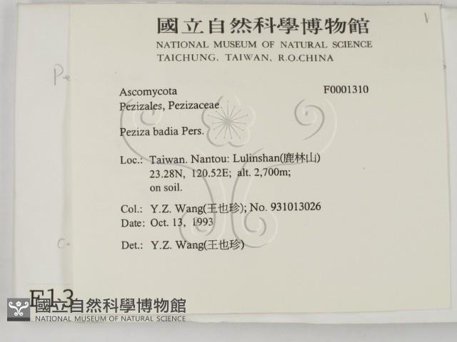 登錄號:F0001310藏品圖，第2張