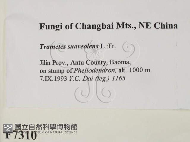 登錄號:F0007310藏品圖，第2張