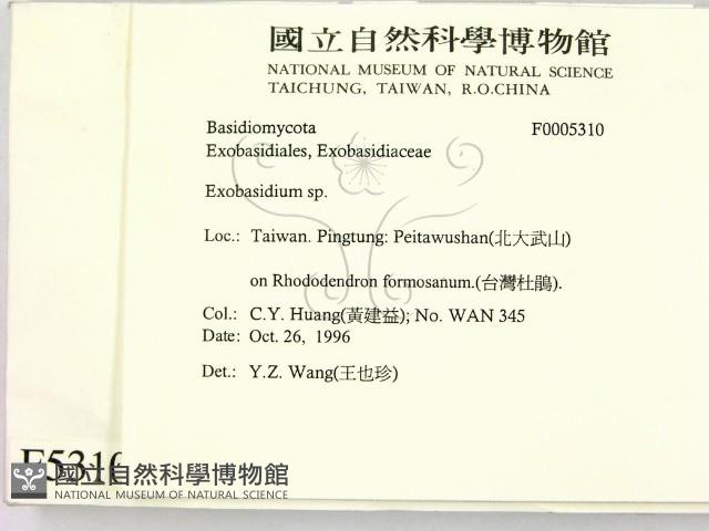 登錄號:F0005310藏品圖，第2張