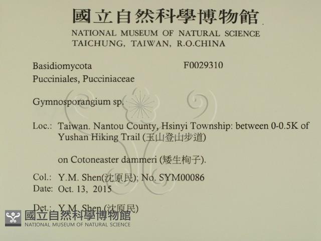 登錄號:F0029310藏品圖，第2張