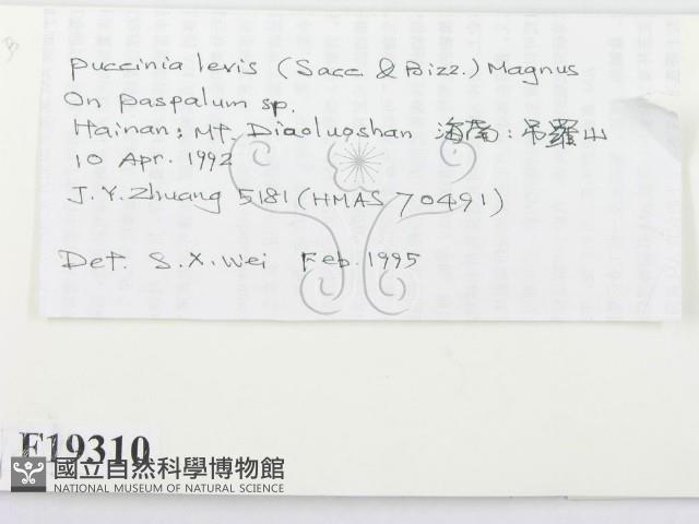 登錄號:F0019310藏品圖，第2張