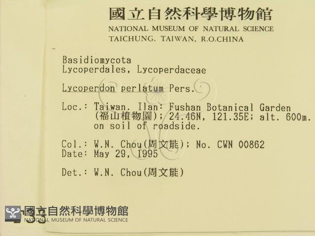 登錄號:F0003310藏品圖，第2張