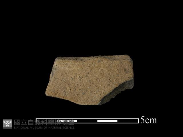 陶片藏品圖，第1張