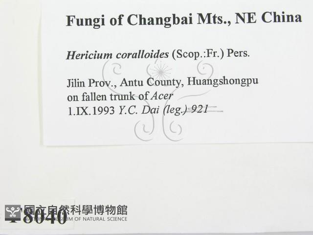 登錄號:F0008040藏品圖，第2張