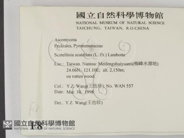 登錄號:F0008290藏品圖，第2張