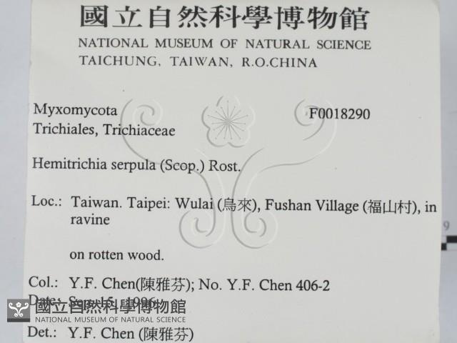 登錄號:F0018290藏品圖，第2張