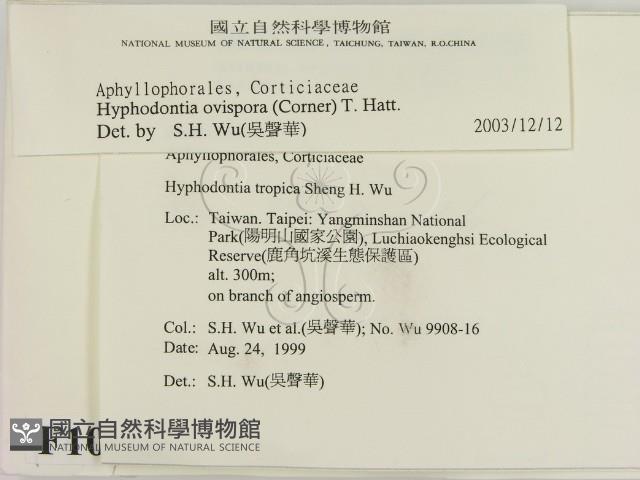 登錄號:F0010290藏品圖，第2張