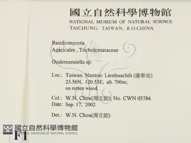 登錄號:F0016290藏品圖，第2張