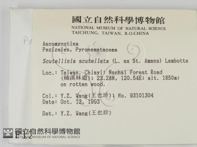 登錄號:F0001290藏品圖，第2張