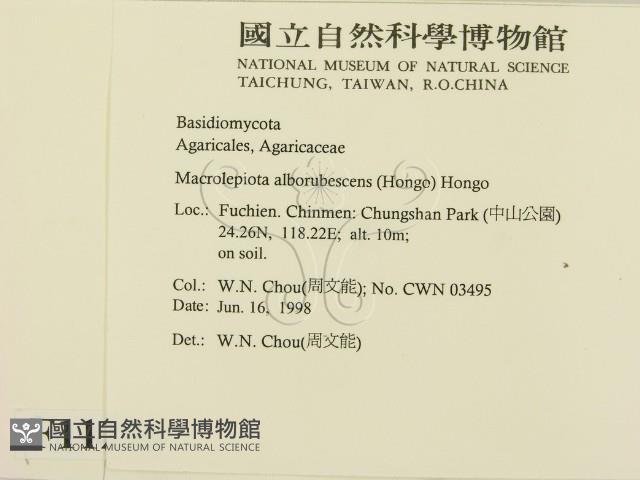 登錄號:F0011290藏品圖，第2張