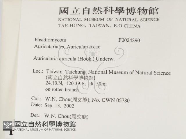 登錄號:F0024290藏品圖，第2張