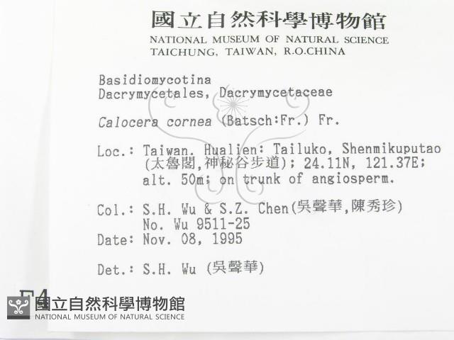登錄號:F0004290藏品圖，第2張