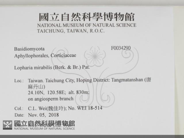 登錄號:F0034290藏品圖，第2張