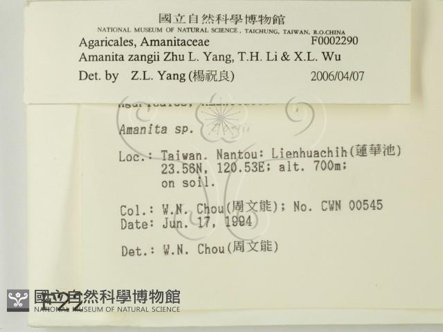 登錄號:F0002290藏品圖，第2張