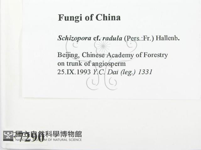 登錄號:F0007290藏品圖，第2張