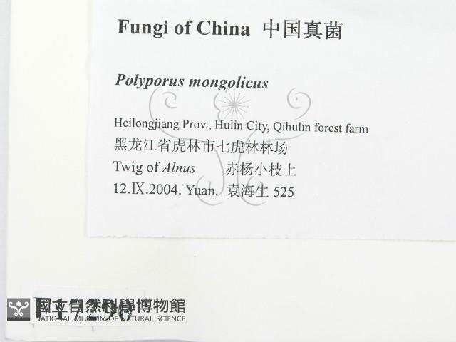 登錄號:F0017290藏品圖，第2張
