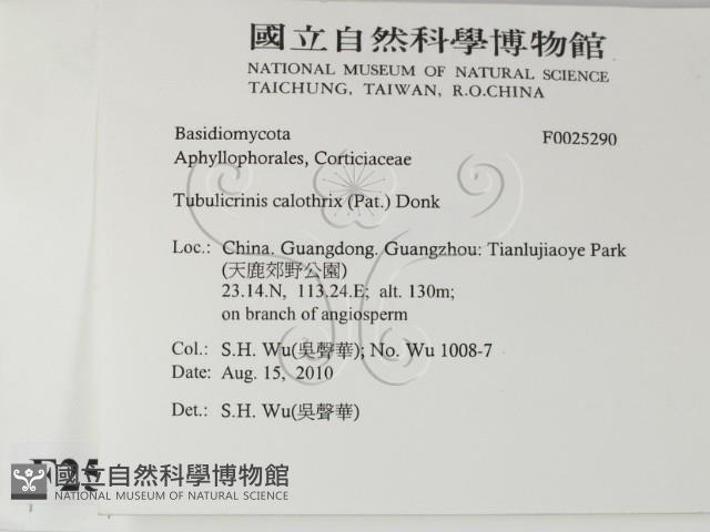 登錄號:F0025290藏品圖，第2張