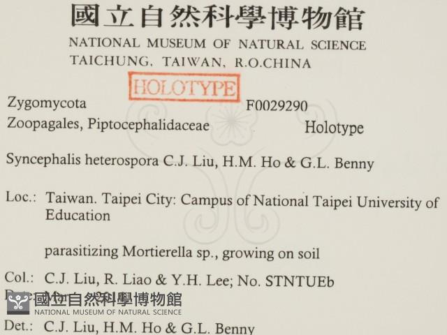 登錄號:F0029290藏品圖，第2張